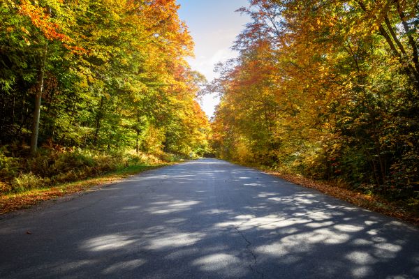 Cost of Blacktop Replacement in Manchester